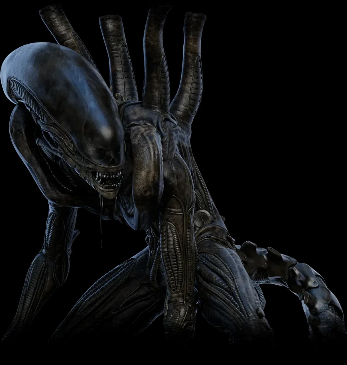 The Xenomorph
