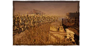 Rotten Fields - Coldwind Farm